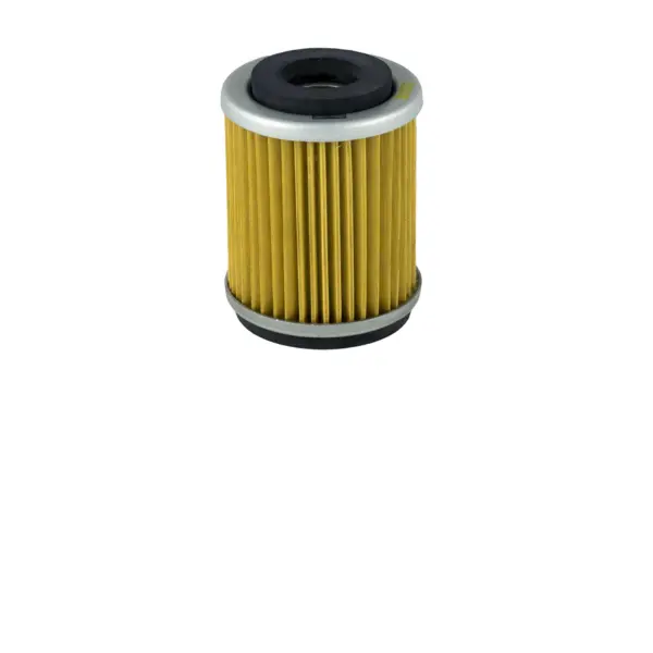 Ölfilter Champion COF043