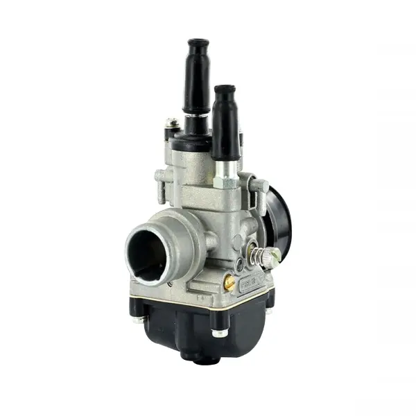 Dellorto PHBG 19 DS 02631 기화기