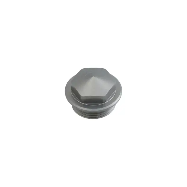 Schwimmerkammer-Gewindestopfen Keihin FCR 1018-804-2000