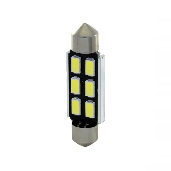 Ampoule LED RMS 41 mm 150 lumens