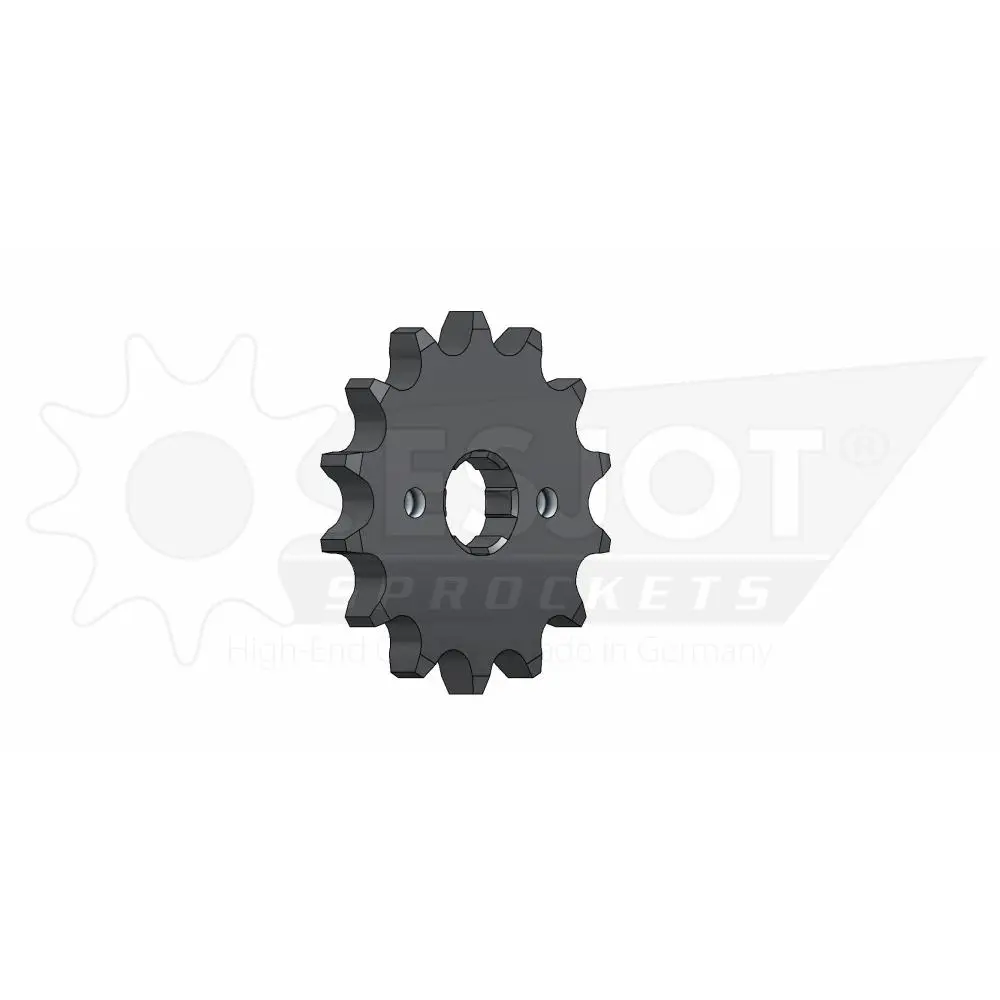 Pastorek Esjot TT Honda 428 14 zubů