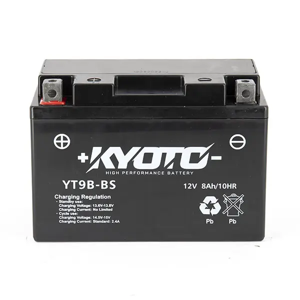 Batterie GT9B-BS SLA-AGM - Wartungsfrei - Gebrauchsfertig - Entspricht YT9B-BS