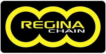 Regina 138 Ors 525 链条链节