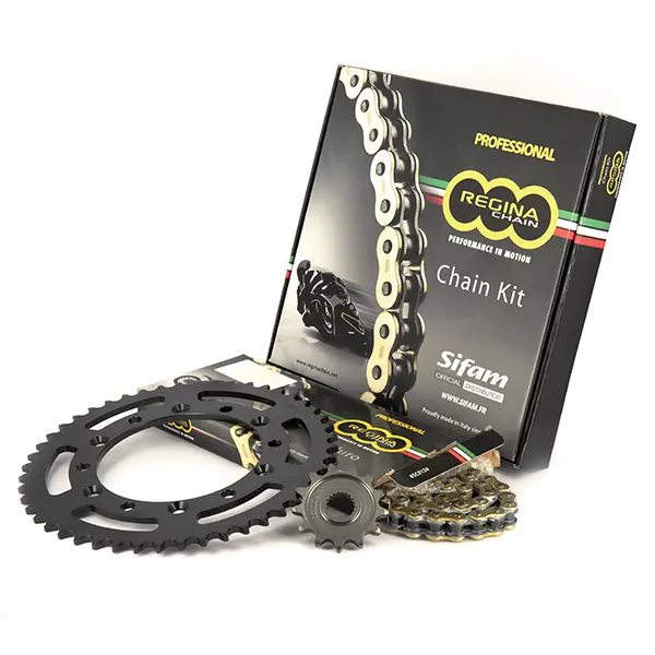 Regina Ketten-Satz Original Kawasaki ER-6 650 2006 - 15x46 - 520 mit O-Ringen