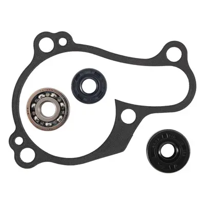 Kit Pompe à eau Vertex
