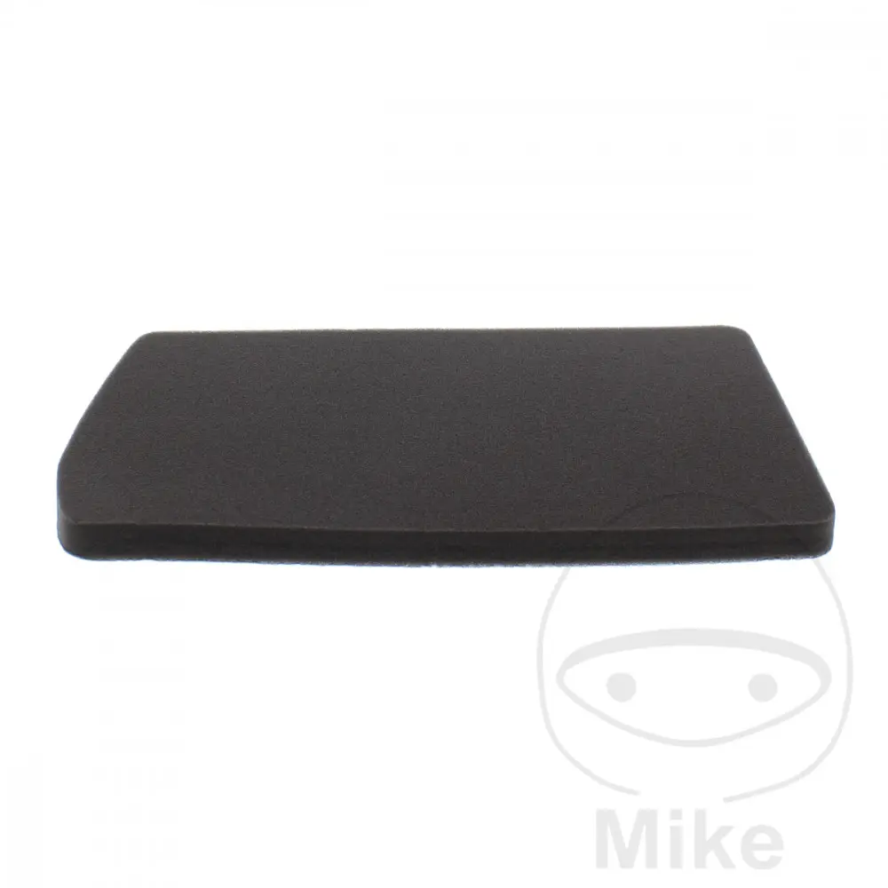 HIFLOFILTRO Air Filter