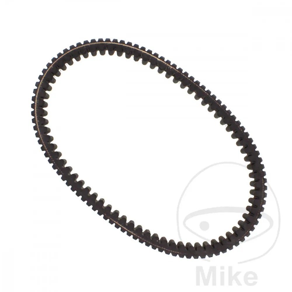 Drivrem Dayco — 3. billede