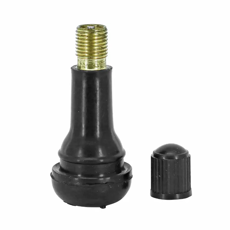 Valve de pneu tubeless droite 40 mm P2R