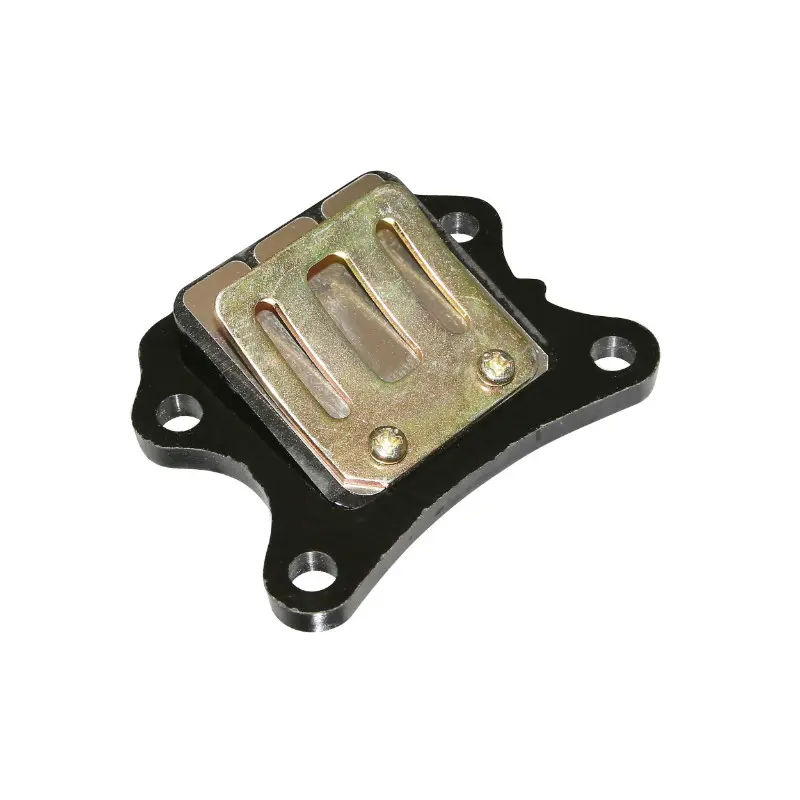 Clapet Peugeot 50 Fox adaptable P2R
