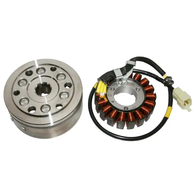 Zündung SGR maxiscooter adaptierbar Honda 250 Foresight 2000-2003 / Piaggio 250 X9 2000-2003 (18 Pole)