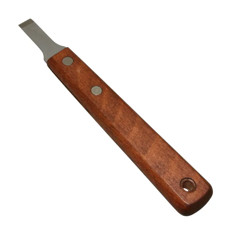 스테인리스 스틸 조인트 스크레이퍼 10 mm Buzzetti