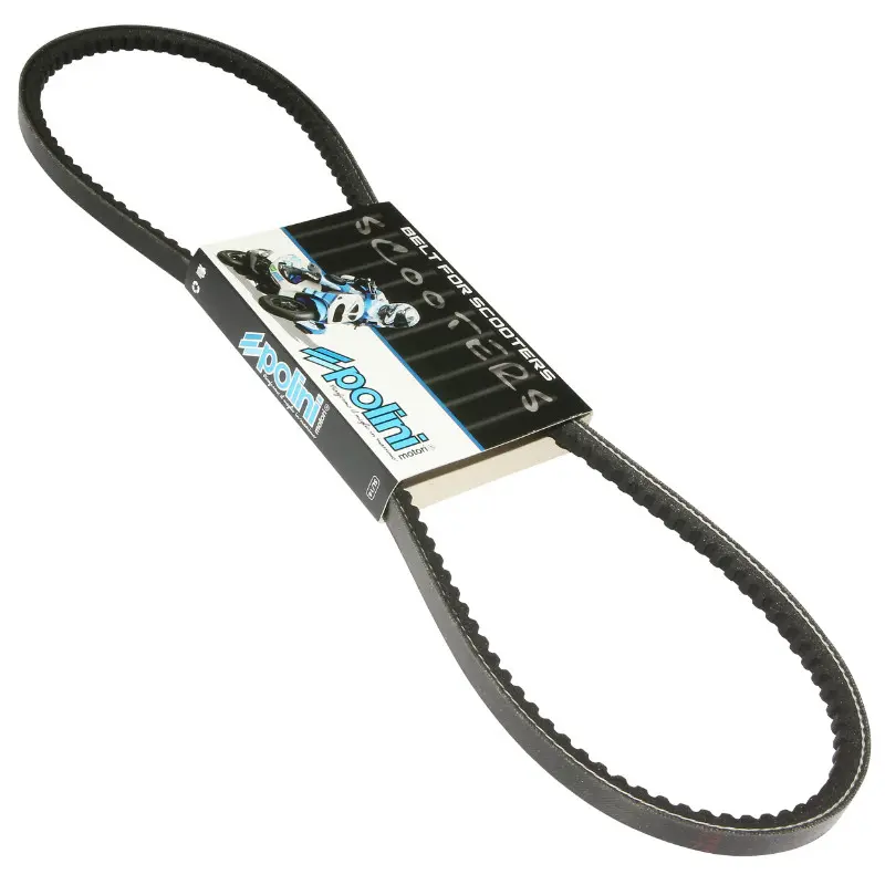 Courroie Polini adaptable Piaggio 50 Ciao PX sans variateur 965 x 9,5 x 7,7 mm x 36°