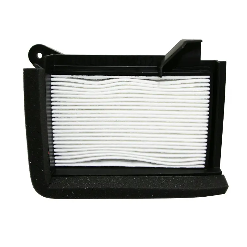Filtre de aer HIFLOFILTRO — vederea 2