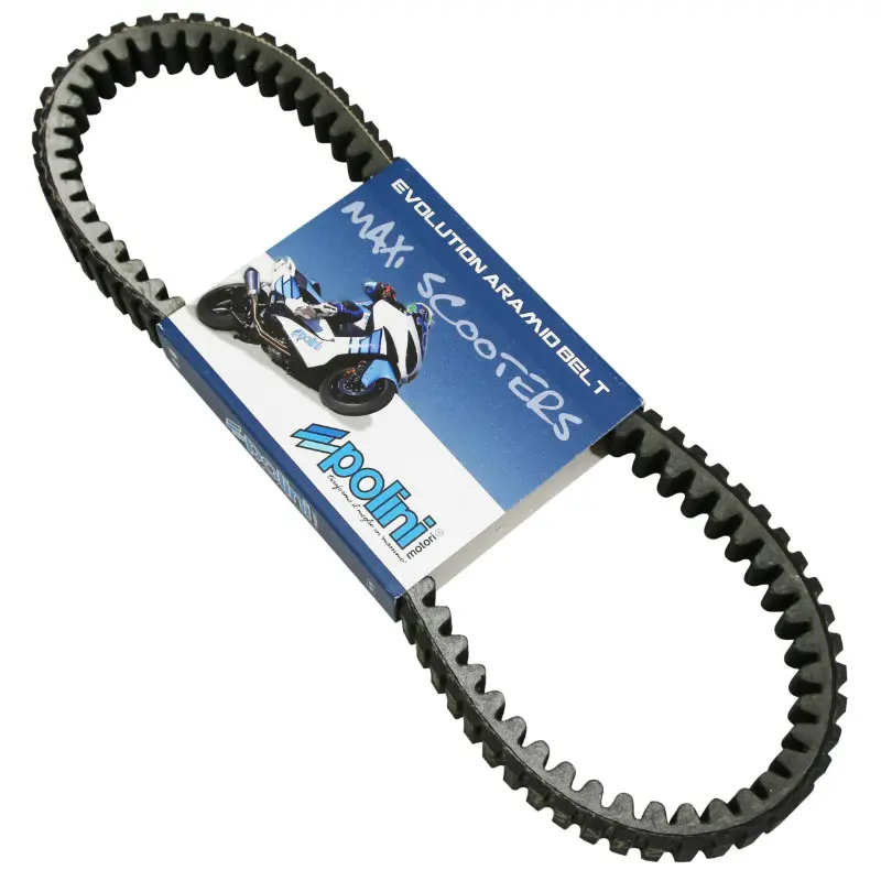 Polini evolution aramid میکسی سکوٹر بیلٹ Piaggio 250, 300 MP3, 250-300 vespa GTS, 250 x-evo, X9-PEUGEOT 250 satelis-aprilia 300 SR max atlantic کے لیے (822 x 21 x 13,5 MM x 28°) (248.069.1)