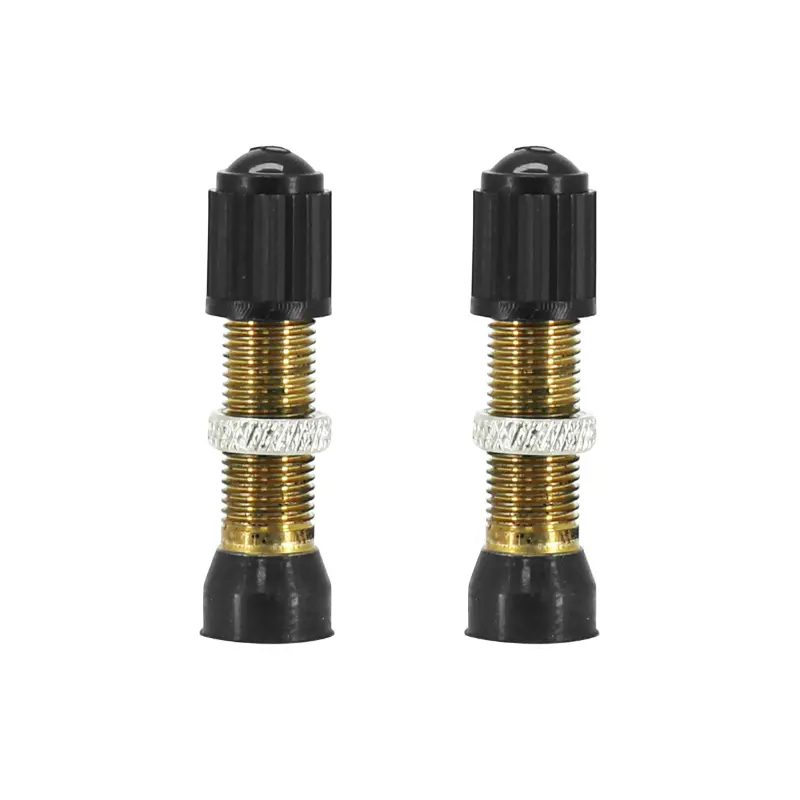 Tubeless-Ventil Schrader silber 44 mm abnehmbare Kappe Sélection P2R (Paar)