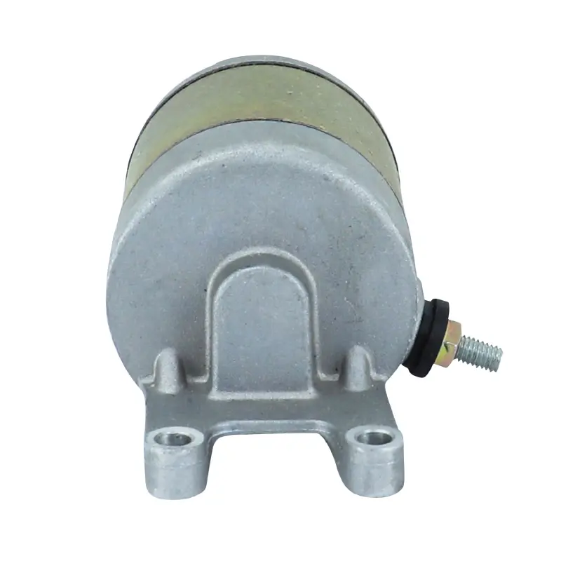 Anlasser SGR Piaggio 250 Beverly/X9 — Ansicht 4