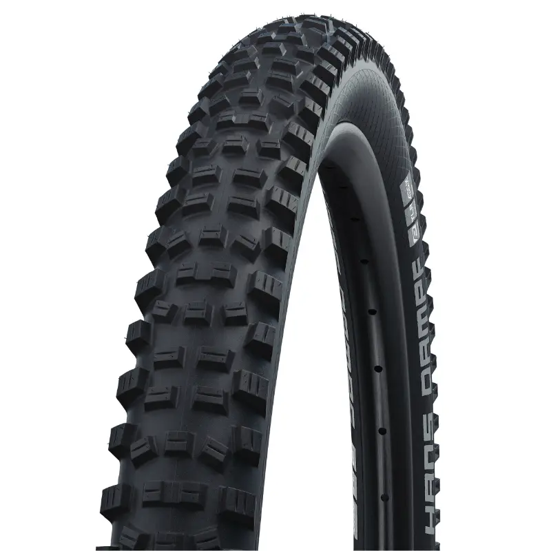 Pneu VTT Schwalbe Hans Dampf Addix Performance 24 x 2.35 Tubeless Ready TS noir