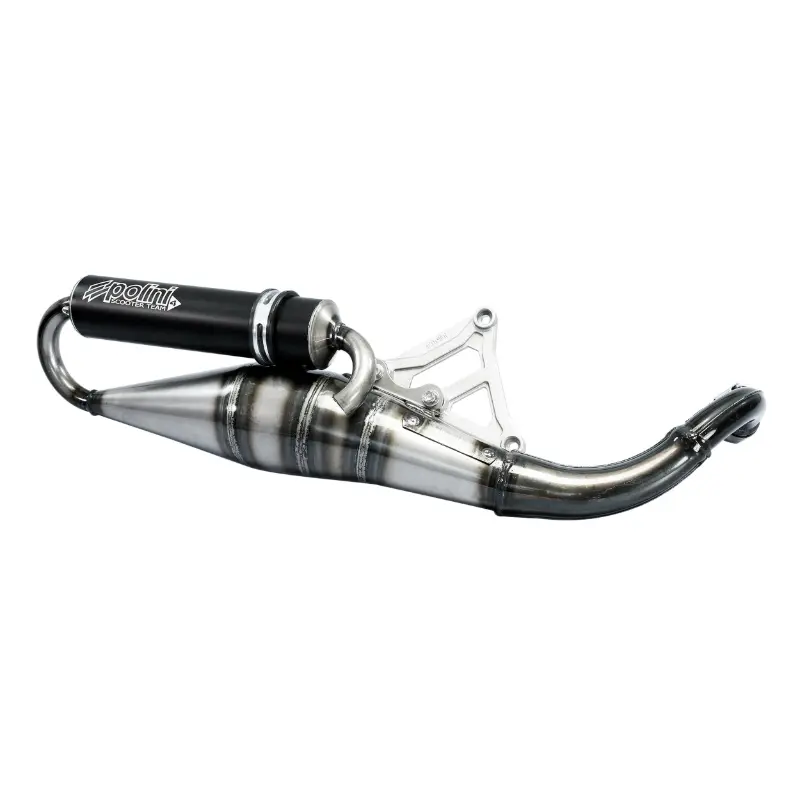 Silencieux Polini Team 4 pour Peugeot 50 Kisbee 2T (200.0423)