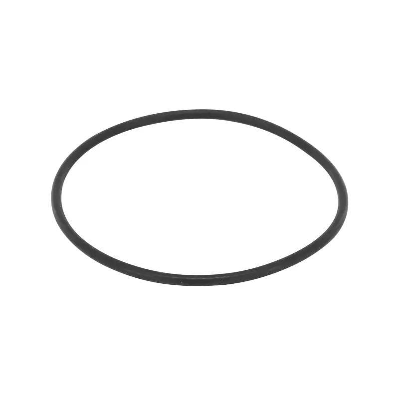 O-Ring Bosch für BDU2XX — Ansicht 2