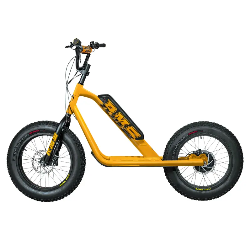 Trottinette électrique RMS Bike 20F-X jaune RAL 1021 moteur 500 W homologuée NF EN 14765