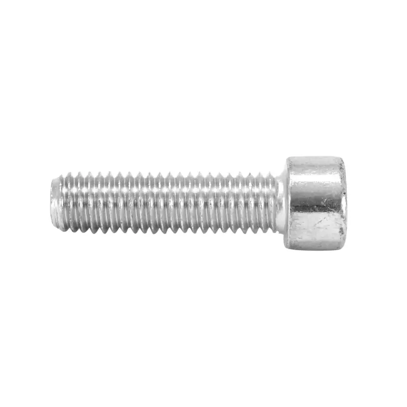 CHC Zeskant Inbusbout M8 x 20 mm chroom Selectie P2R (zakje van 12 stuks)
