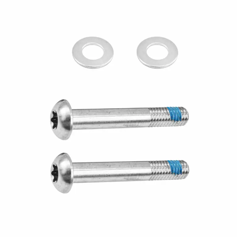 برغي لفرامل القرص الطريق SRAM Flatmount T25 37 مم (زوج)