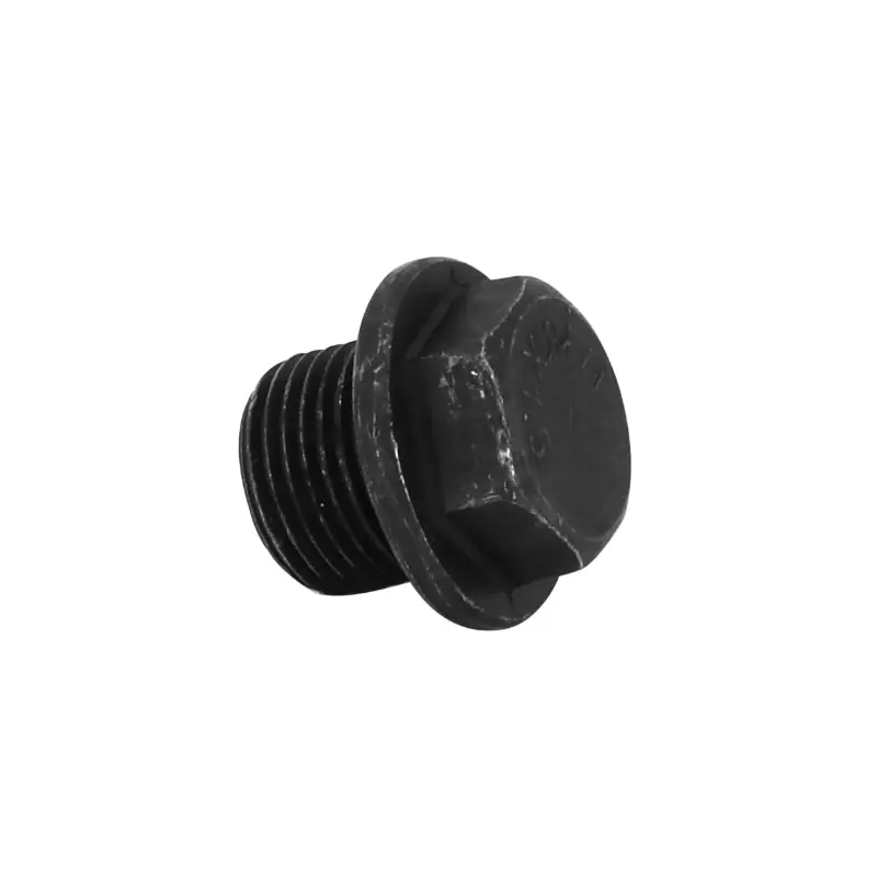 Lambda zondo kamščio varžtas pritaikomas Piaggio 50 Zip 4T M8 18x1,5x24 mm — Sélection P2R, Varis