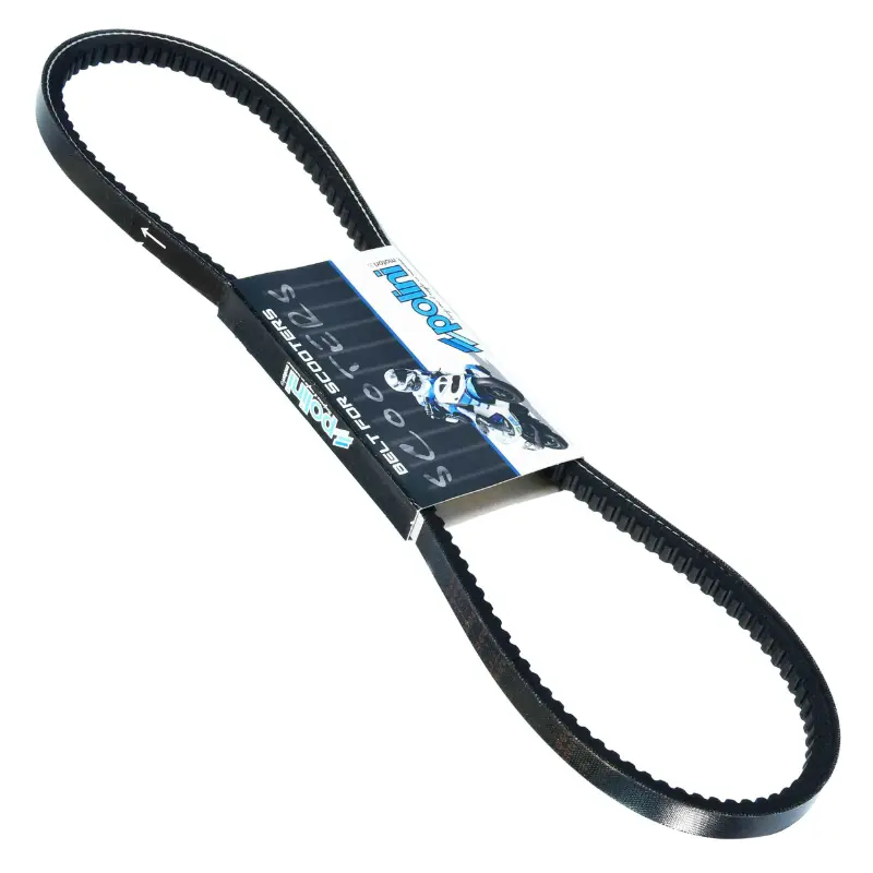 Courroie Polini pour Piaggio 50 Ciao PX avec variateur 965 x 12,3 x 7,7 mm x 36° (248.113)