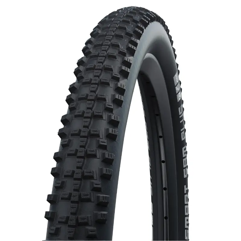 Pneu VTT VAE 29 x 2.35 Schwalbe Smart Sam Plus Addix noir TR double defense homologué VAE E50