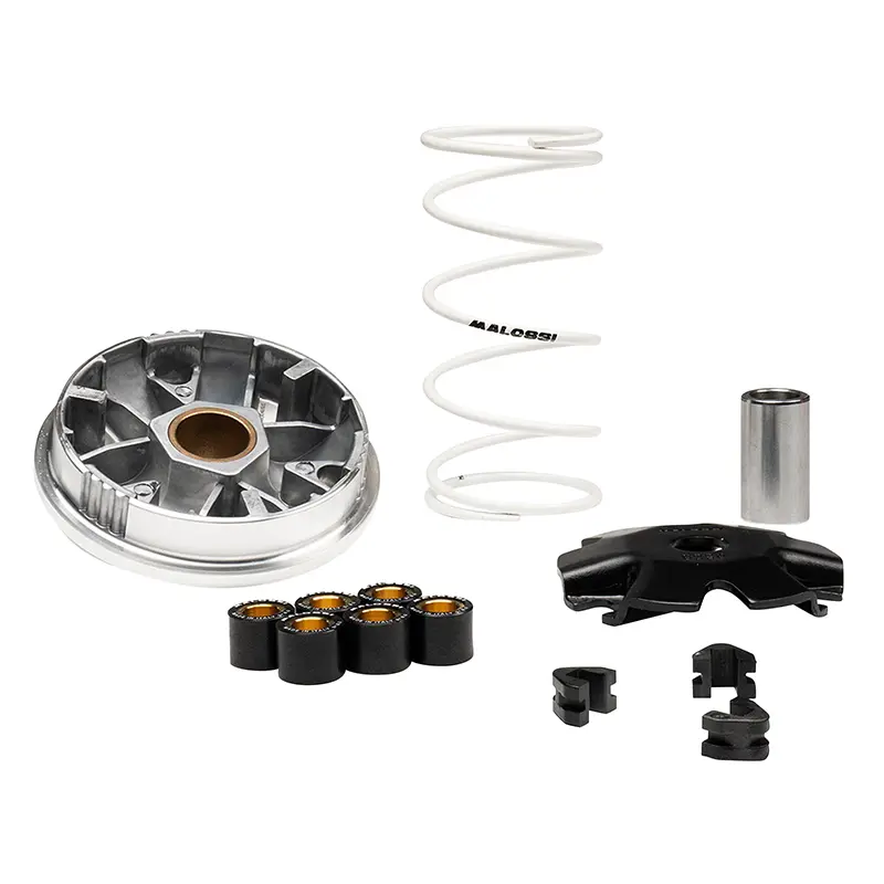 Wariator Malossi Multivar na Rieju 50 Bye Bike 2T (5119411)