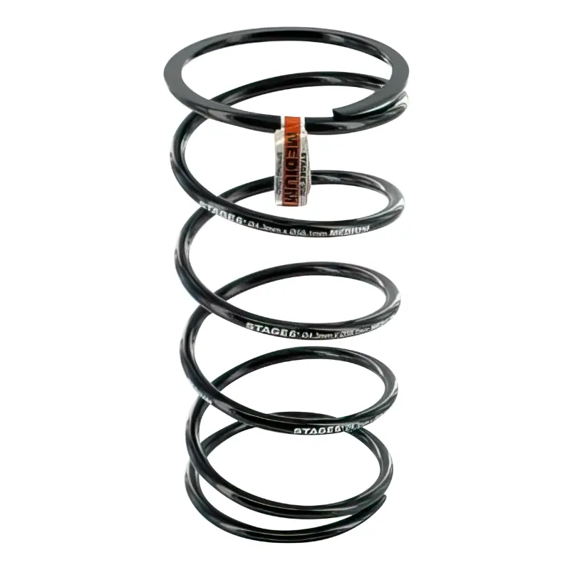 Ressort variateur Stage 6 pour Piaggio 50 Zip, NRG, Typhoon, Aprilia 50 SR Motard, Gilera 50 Stalker noir (M)