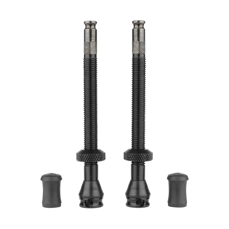 Valve tubeless Schwalbe Clik Valve 60 mm obus démontable (paire)