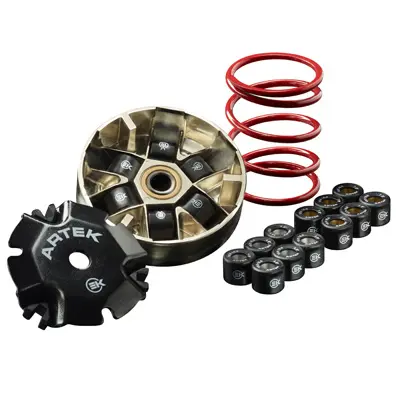 ভেরিয়েটর স্কুট Artek K2 evo MBK 50 booster 1990+2003, nitro-yamaha 50 BWS 1990+2003, aerox-aprilia 50 sr-malaguti 50 F12 এর জন্য (3 সেট 6টি রোলার 19X15,5MM + রিয়ার স্প্রিং সহ সরবরাহিত)