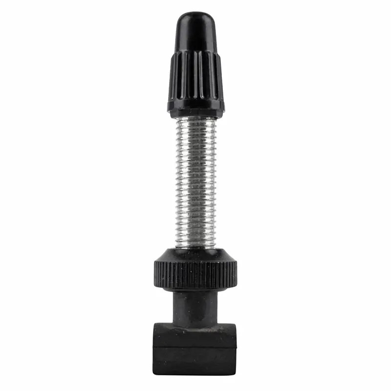 Tubeless-Ventil Presta DT Swiss MTB 32 mm Aluminium silber abnehmbare Mutter