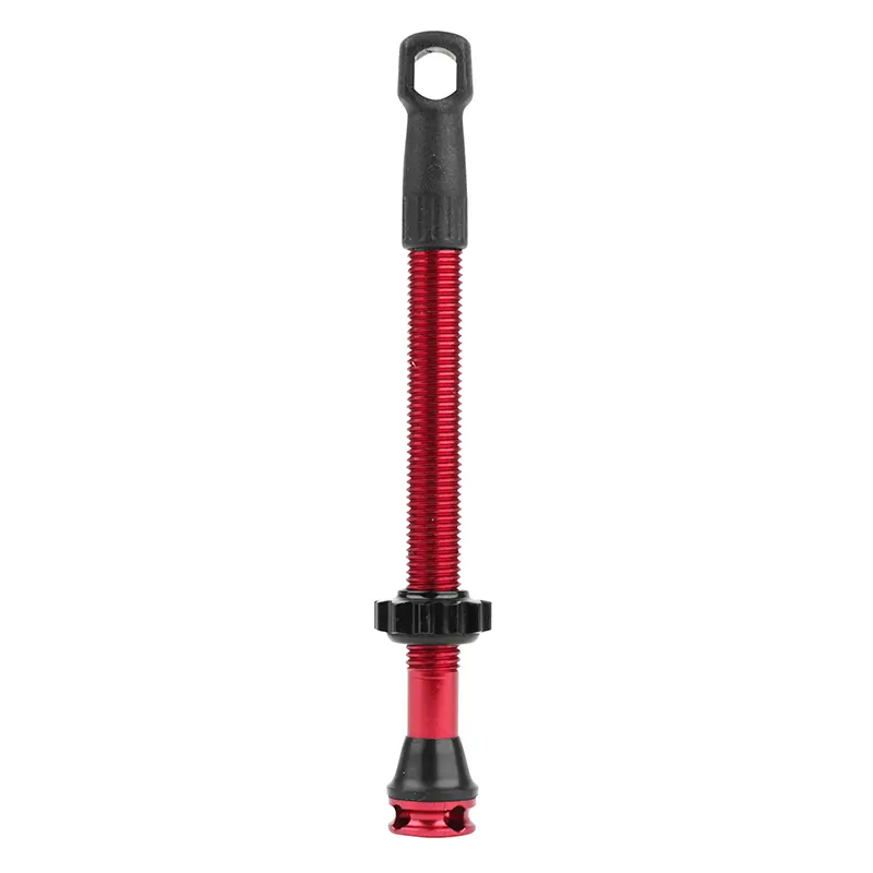 Valve de pneu tubeless Presta Newton rouge 47 mm 4 trous - Unité