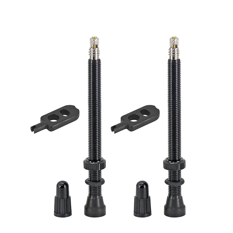 Valvă de anvelopă tubeless Presta Hutchinson 60 mm obus demontabil (pereche)