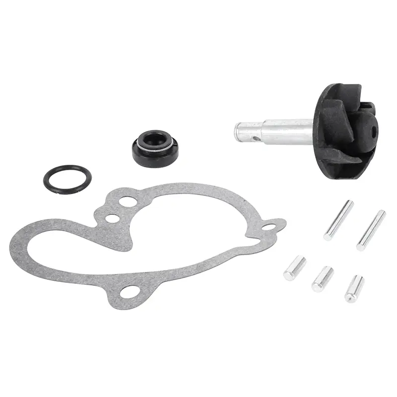 Reparatieset waterpomp 50 voor minarelli 50 AM6-BETA 50 rr-rieju 50 mrt-sherco 50 SM-R, se-r (kit) -Magneti Marelli