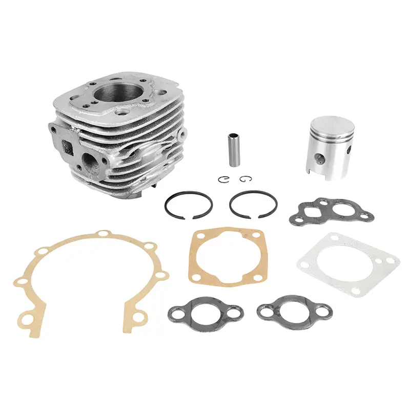 Zylinder Zyklokette adaptierbar Motobécane Cady Durchmesser 39 mm Gusseisen Sélection P2R