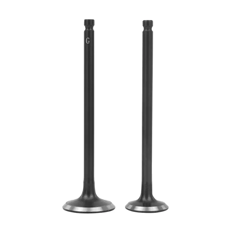 Adaptuojamas vožtuvas Piaggio Zip 50 4T 2006-2016 Vespa Primavera 50 4T 2014-2017 Aprilia Scarabeo 50 4T 2002-2009 komplektas iš 2 P2R