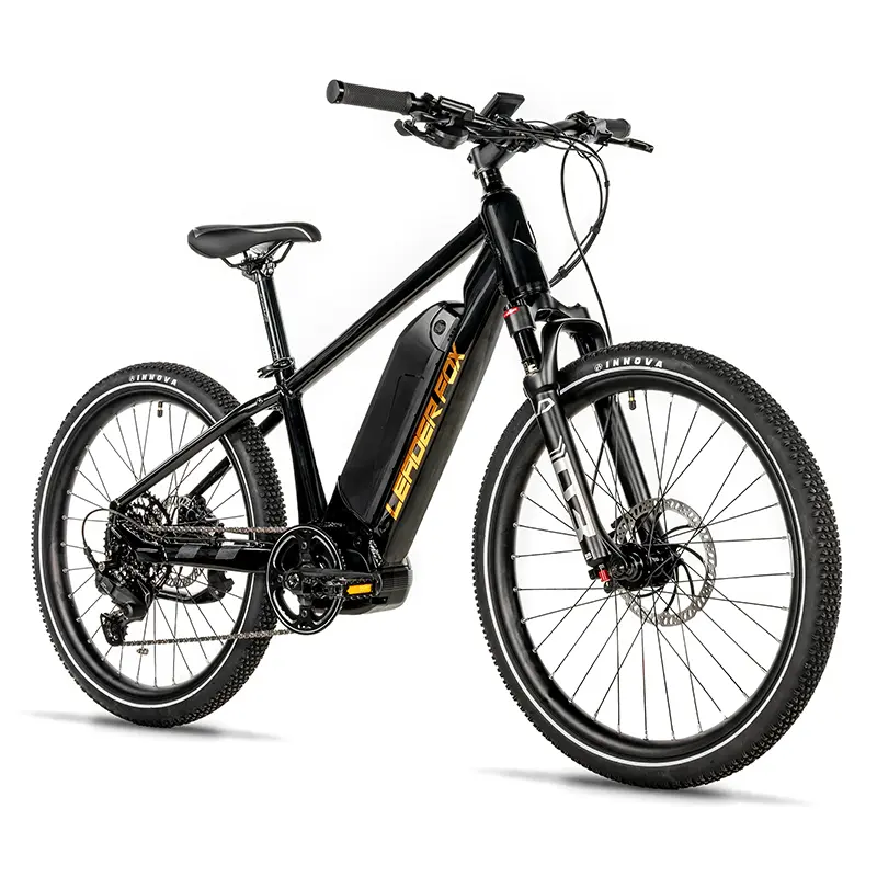 इलेक्ट्रिक बाइक लीडर फॉक्स वीनी MTB 24 मिक्स्ड चमकदार काला