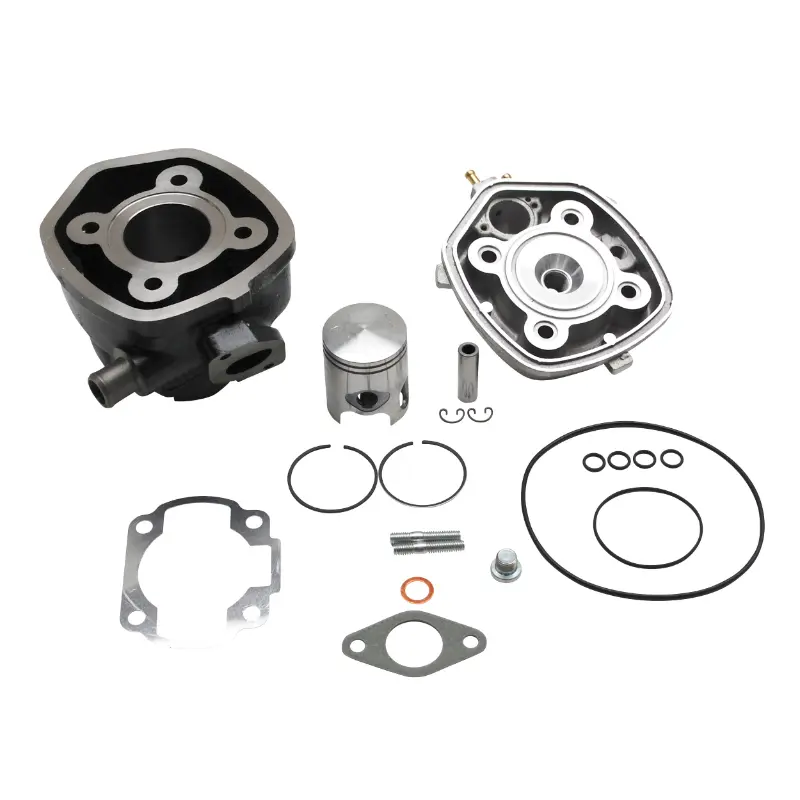 Haut moteur Polini fonte MBK 50 Nitro, Mach G, Yamaha 50 Aerox, Jog R, Malaguti 50 F12, F15, Aprilia 50 SR (166.0094)