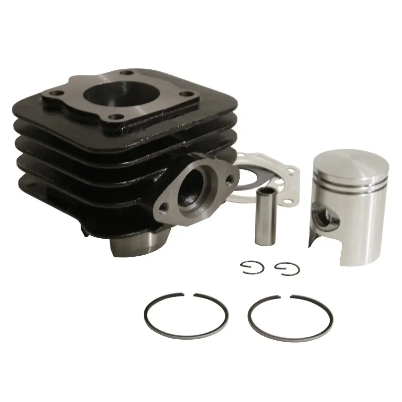 Zylinder Scooter passend Piaggio 50 Zip 2T, Typhoon, Liberty 2T, Vespa LX 2T, Gilera 50 Stalker, Ice, Aprilia 50 SR Luft P2R Premium-Guss