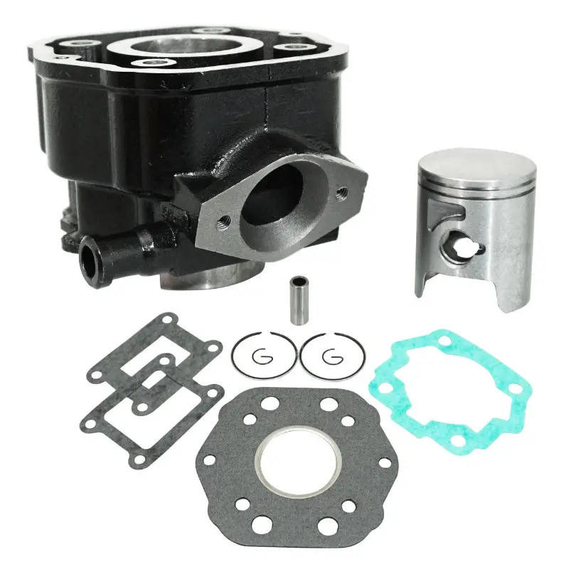 Cylindre 50 à boîte adaptable Derbi 50 Senda 1996-2005, GPR-Gilera 50 SMT 2000-2005, RCR (moteur Derbi Euro 2) P2R fonte premium