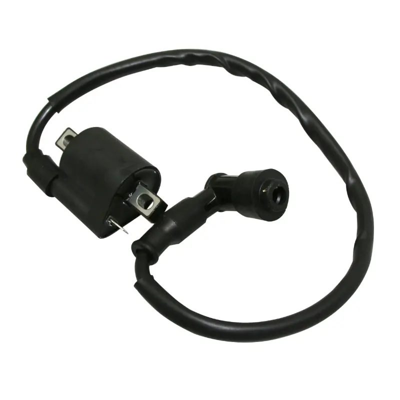 Bobine d'allumage 50 à boîte adaptable CPI 50 SM P2R