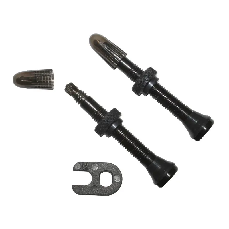 Valve de pneu tubeless Presta Schwalbe 40 mm obus démontable (paire)