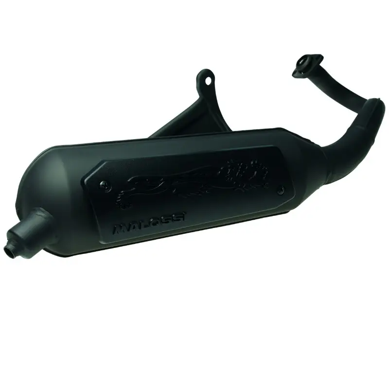Silencieux Malossi Wild Lion pour Piaggio Zip 50 2T 2000+ et Zip SP 2T 2000+ homologué CE