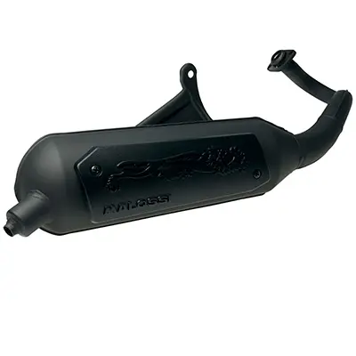 Silencieux Malossi Wild Lion pour Kymco 50 Agility 2T, Dink 2T, People 2T, Super-9 2T, Top Boy 2T, Sym Jet 2T