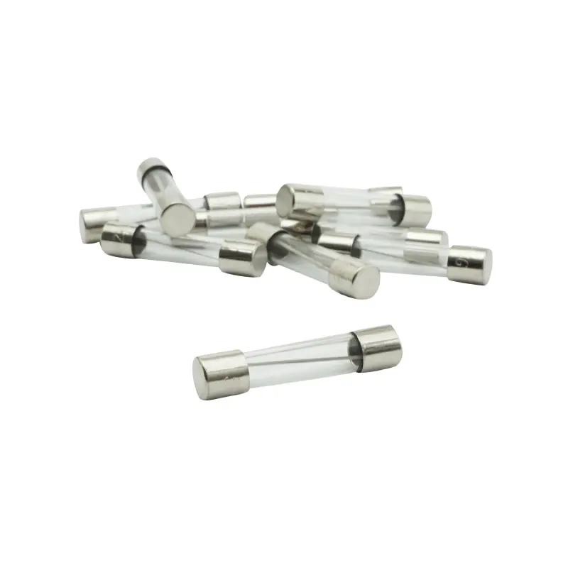 원형 유리 퓨즈 20A 6.3x30 mm - 10개 세트 - 셀렉션 P2R