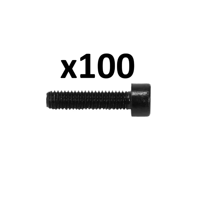 Bout CHC Inbus M6 x 25 mm - Doos van 100 stuks ALGI (690043)