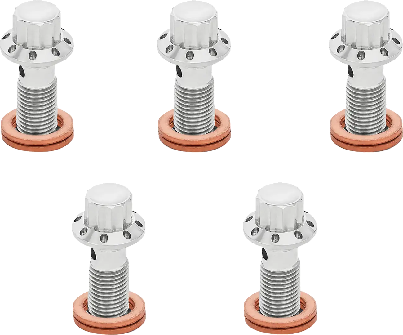 Болт за спирачна система Banjo Arlen Ness M10x1.25 12PT 5 броя полиран